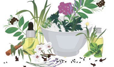 Avoiding Food Waste: What to Do with Your End-of-Summer Fresh Herbs