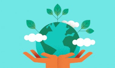 5 Ways You Can Make Your Office More Environmentally Friendly