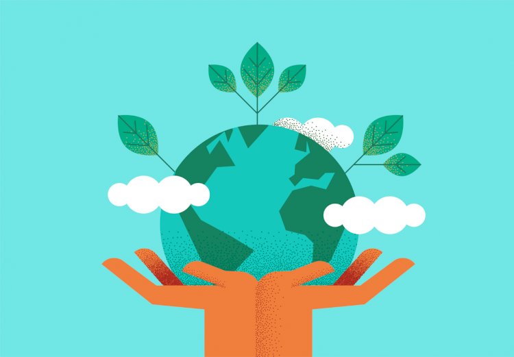 5 Ways You Can Make Your Office More Environmentally Friendly