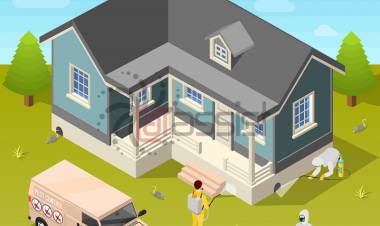 Please Bug Off: 10 Ways To Keep Insects Out Of Your Home