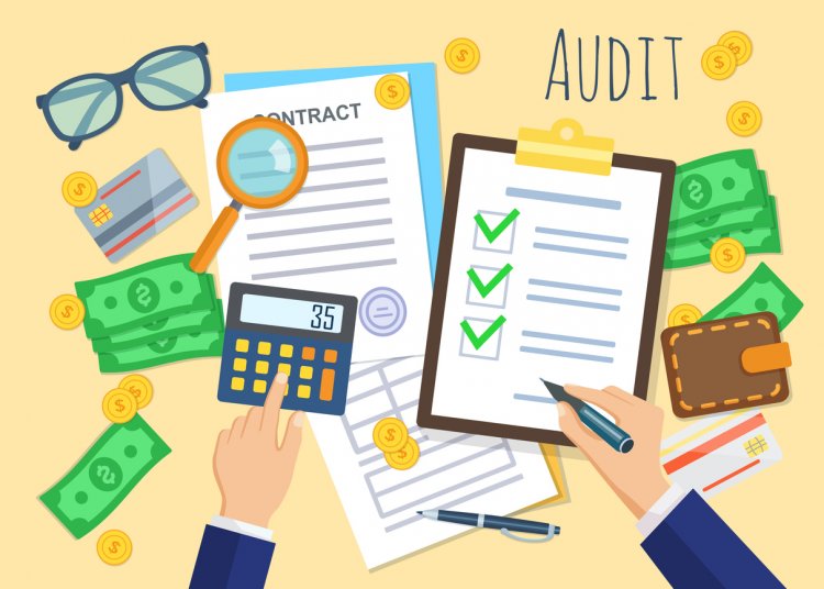 Investigating The Life of An Auditor